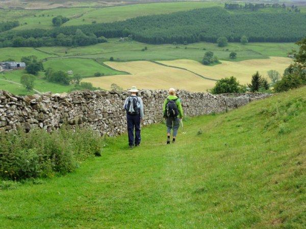 Walking through green fields and along stone wall