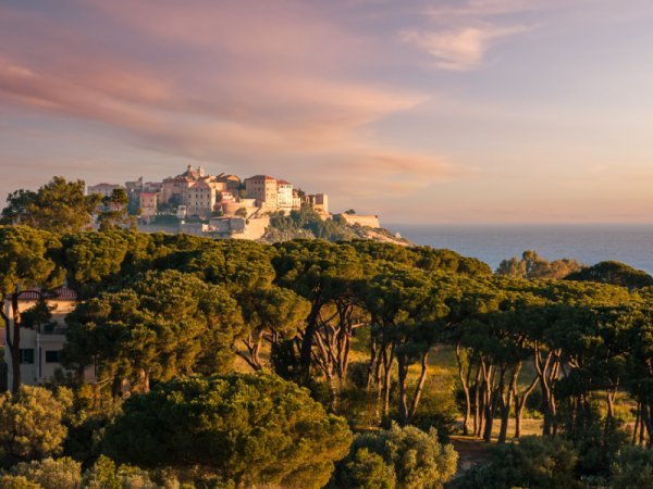 View of Calvi from a distance