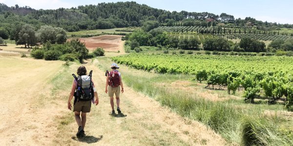 Self-Guided Provence Inn-to-Inn