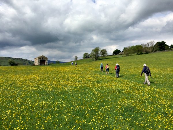 James Herriot Way guided trip